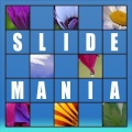 Slide Mania