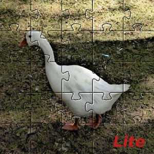 Animals Cartoon Puzzle Lite加速器