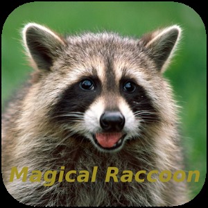 Magical Raccoon