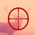 Deer Hunter加速器