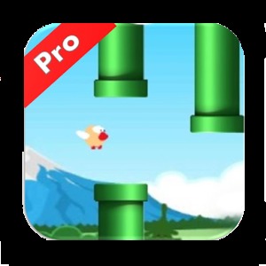 Bird Adventure Pro加速器
