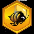 BuzzyBee加速器