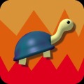 Turtle Bump