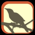 BirdyQuiz