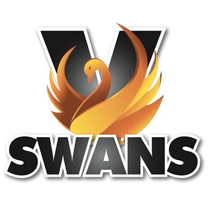 V Swans