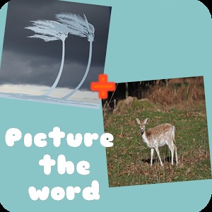 Picture the word! 2pics1word加速器