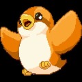 Skippy Sparrow