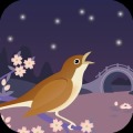 The Nightingale