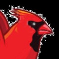Survivor Birds