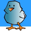 Bird Match