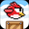 Flappy Finch