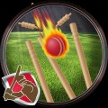 Hit The Wicket