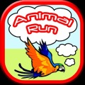 Animal Run: Flapping Frenzy!
