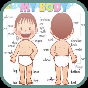 Guess The Body Parts Word加速器