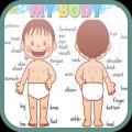 Guess The Body Parts Word加速器