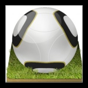 Football World Cup Data加速器