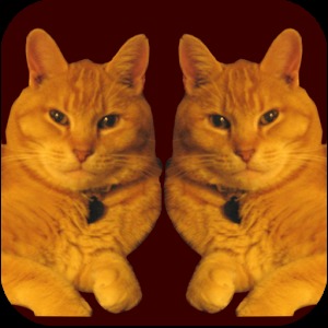 Kitty Match加速器