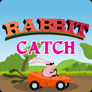 Rabbit catch加速器