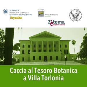 Caccia Tesoro Villa Torlonia加速器