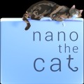 Nano the Cat