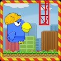 Flap The City
