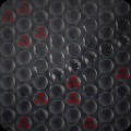 BubbleWrap