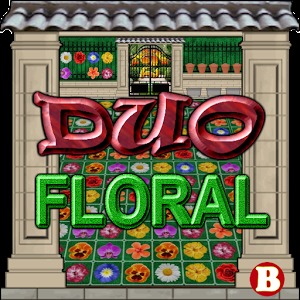 Duo Floral加速器