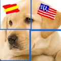 Spanish & Puzzles USA: Animals