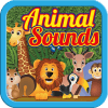 Learn Animal Sounds加速器