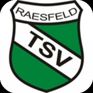 TSV Raesfeld加速器