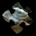 Lizard Jigsaw Puzzles