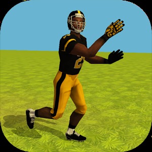 Football Simulator Rampage 3D加速器