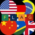 Guess Flags加速器