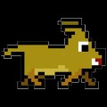 Dog Run