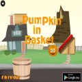 Pumpkin in the Basket