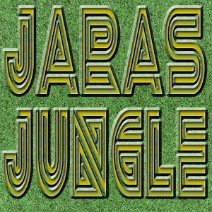 Escape From Jara's Jungle加速器