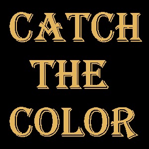 Catch The Color加速器