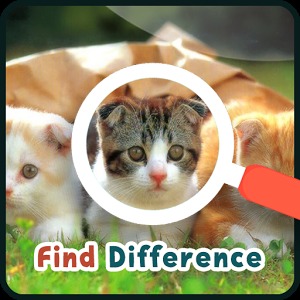 Find 5 Difference : Cats加速器