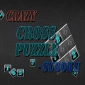 Crazy-Sudoku加速器