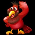 Birds of Same Feathers