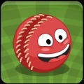 Tappy Cricket