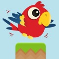 Flappy Pirate Parrot