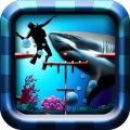 Hungry Shark Hunting