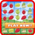 Fruit Farm Blast加速器