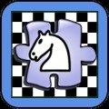 Chess Board Puzzles