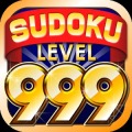 NumberPlace Lv999