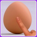 Touch Egg Tamago