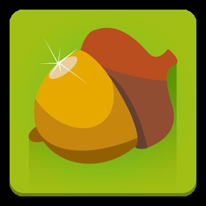 Wild Nuts - best squirrel game加速器