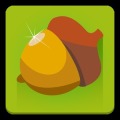 Wild Nuts - best squirrel game加速器