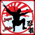 Super Ninja Run Game